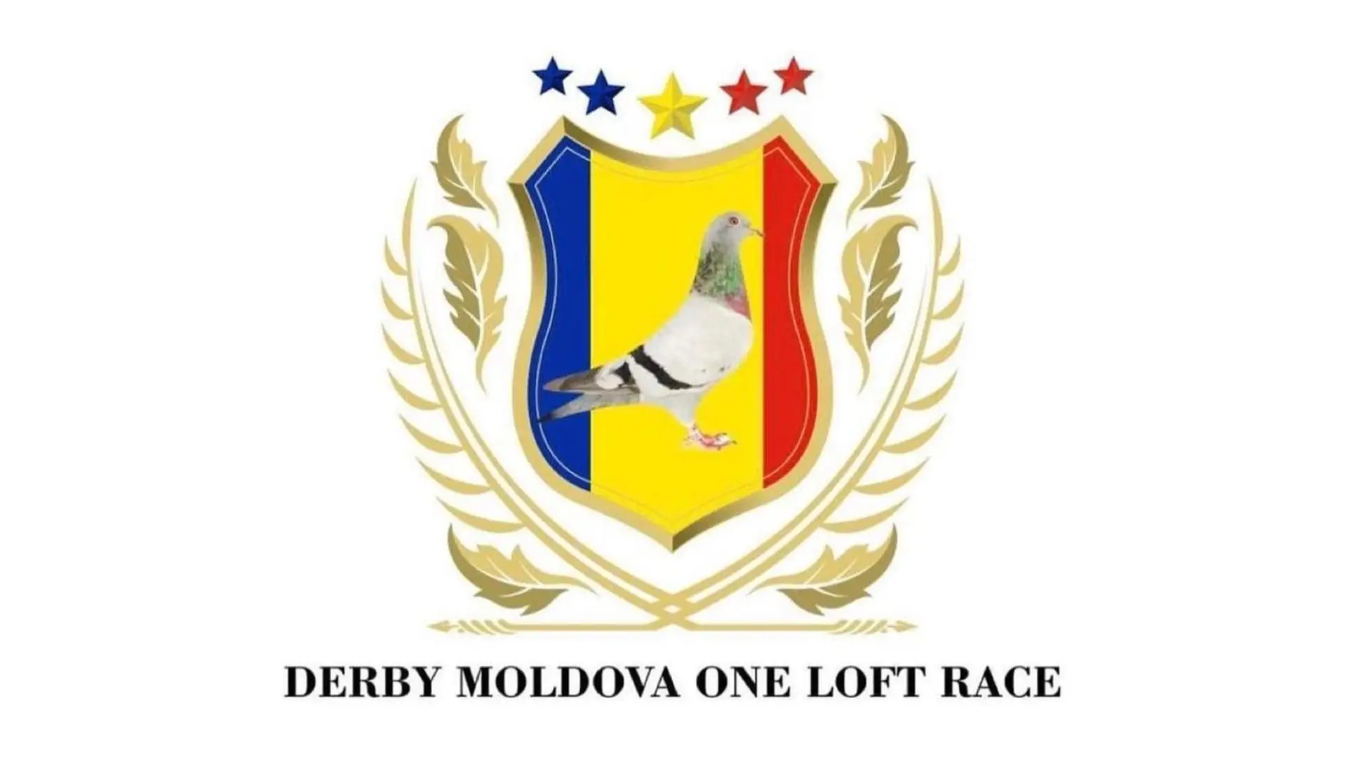 Derby Moldova Banner