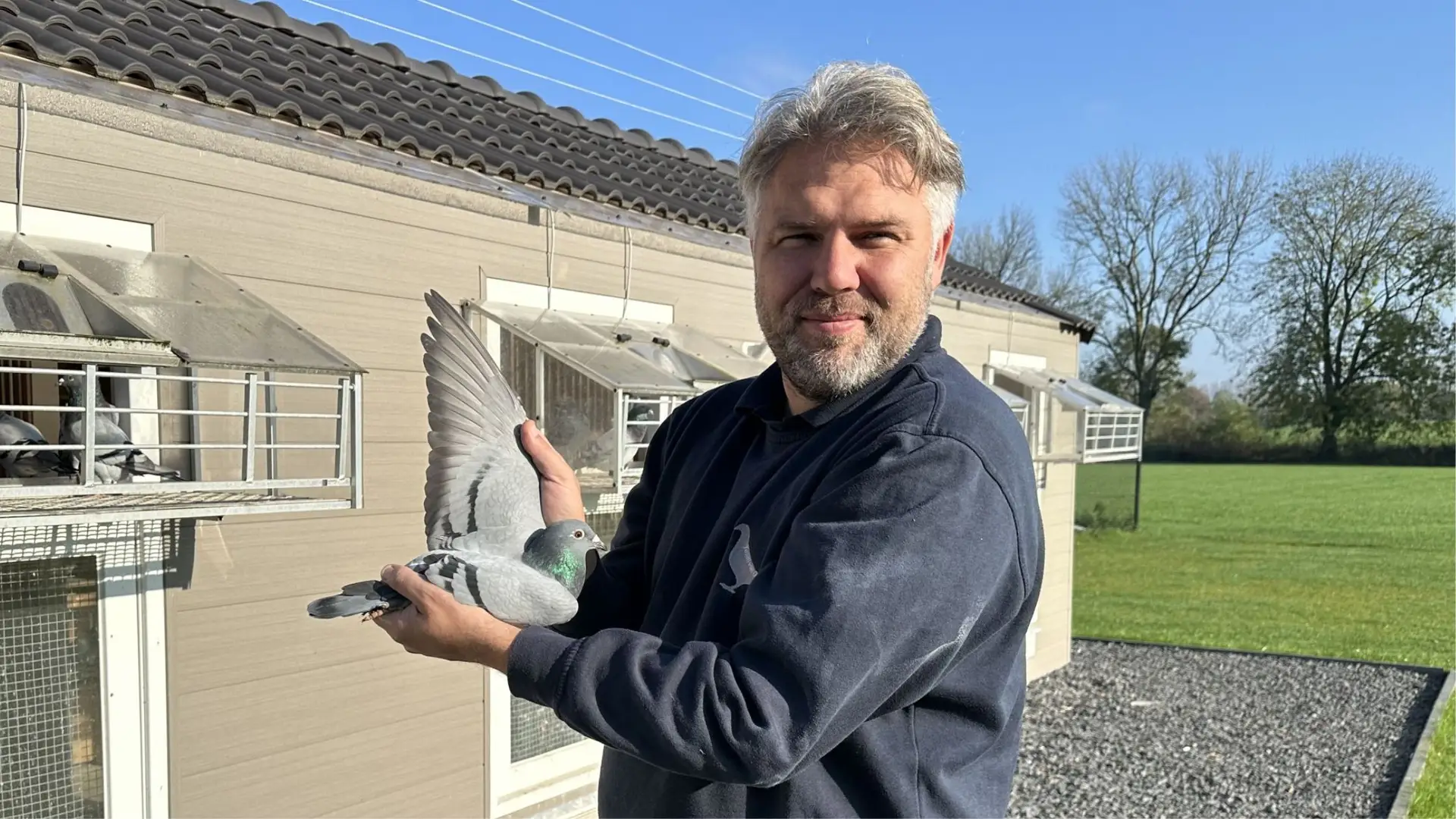 Pigeon fancier Irving van Oss of Team van Oss gently holding a champion racing pigeon, showcasing the bird's athletic build and premium feathers.