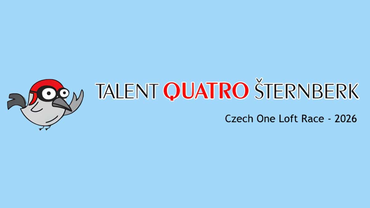 Talent Quatro OLR Banner
