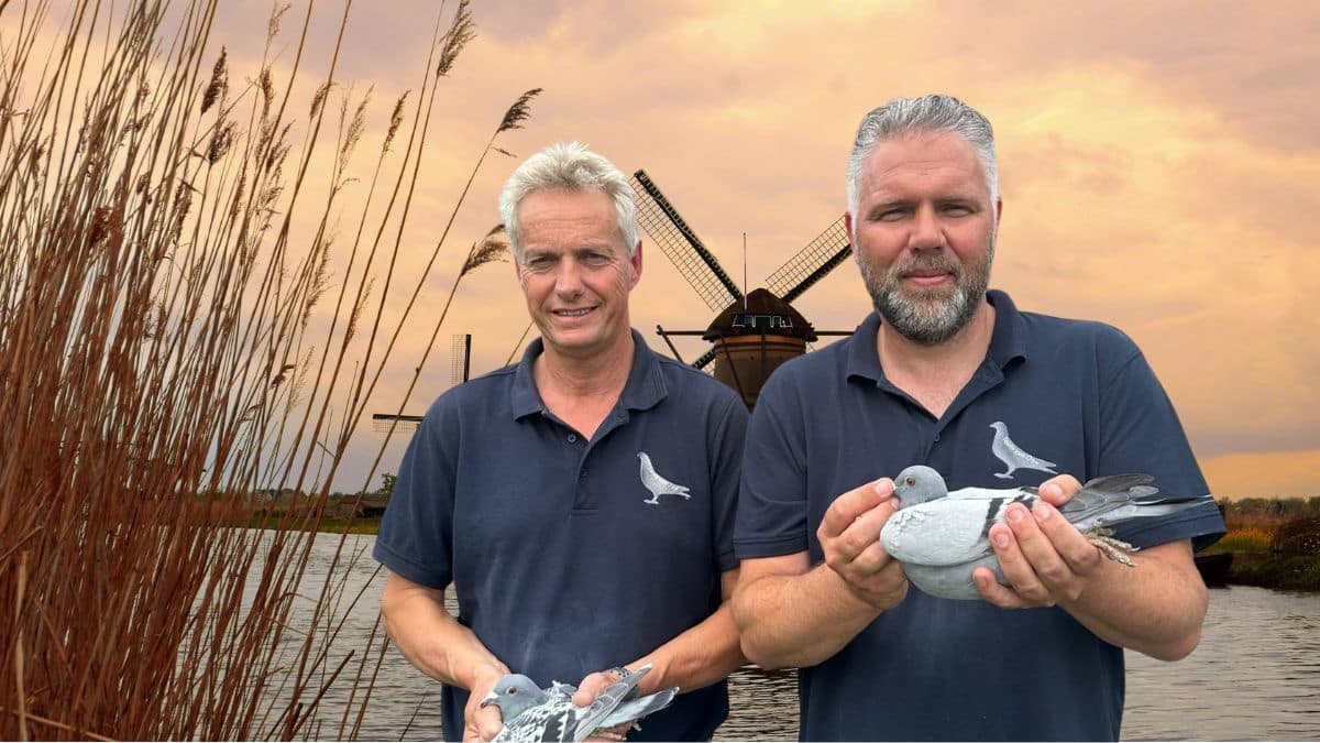 Dutch pigeon racing champions Team van Oss in Den Bosch, looking proud and ready for the next challenge after the Sourdun flight. They are pictured mid-conversation inside the loft, surrounded by their elite racing birds, embodying the grit and winning mentality of top-tier pigeon sport.