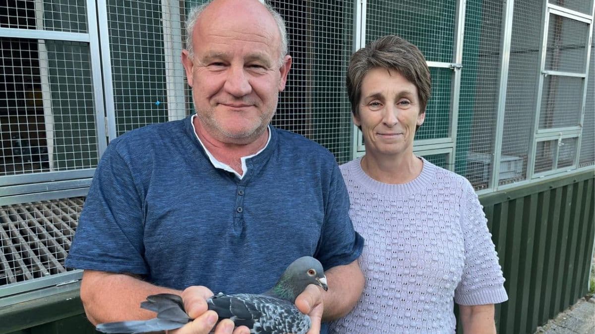 igeon racing champion Huub Hermans and his wife smiling together in front of their championship pigeon loft in Born.
