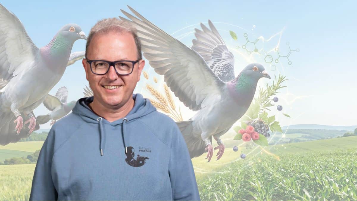 Alfred Berger smiling in a blue hoodie, with racing pigeons taking flight over green fields, surrounded by illustrative graphics of fresh berries, botanical herbs, and a metabolic formula molecule, representing the 5-day shape reset and health booster for racing pigeons.