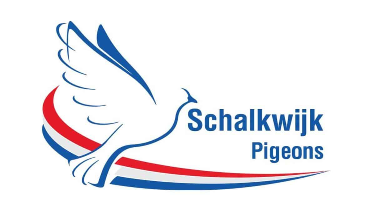 Schalkwijk Pigeon Blog