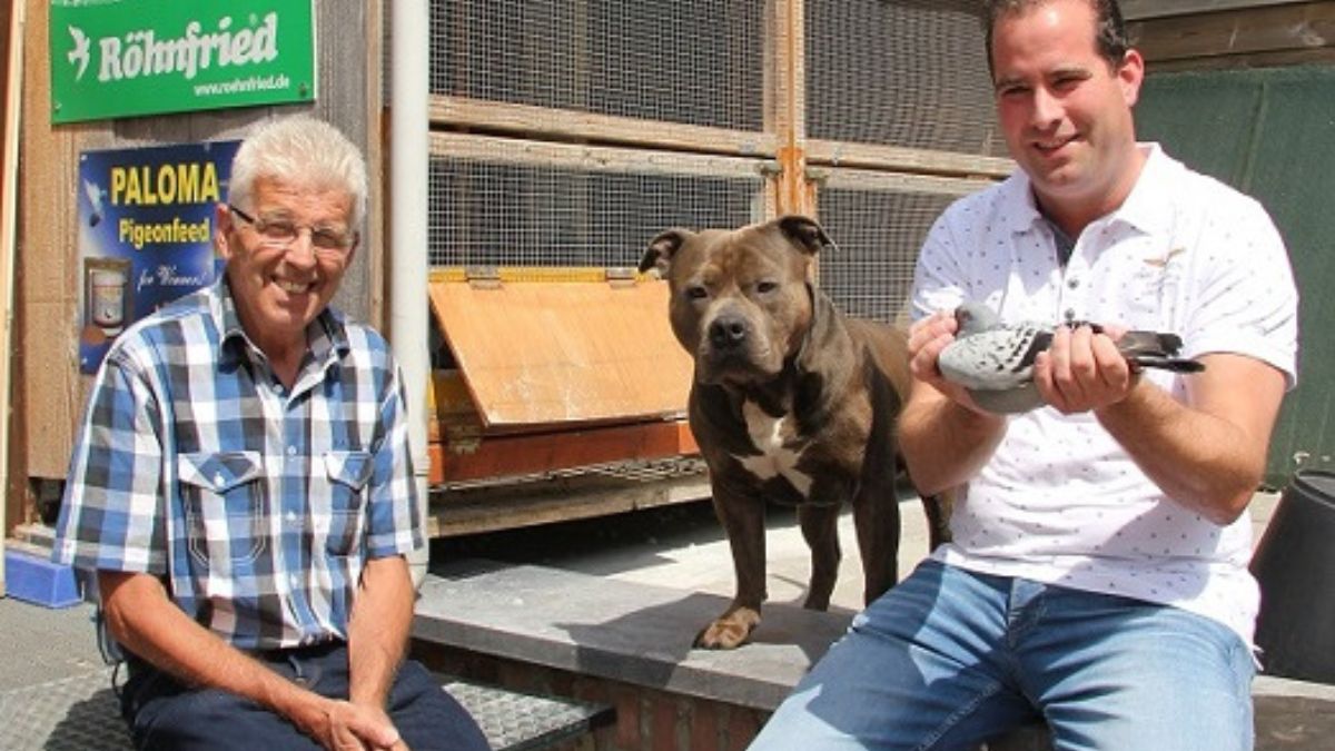 Jo and Florian Hendriks holding a champion racing pigeon outside their loft in Nijswiller with their dog and sponsor banners for Paloma and Rohnfried.