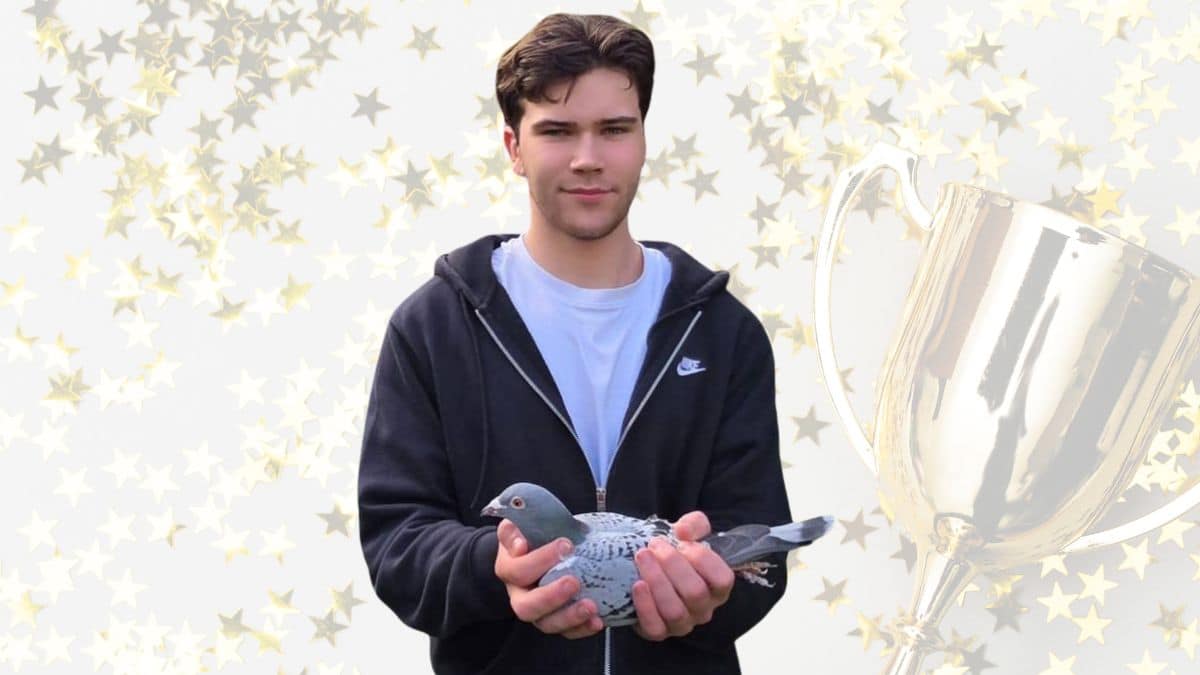 Milan van Win holding a champion racing pigeon against a celebratory gold trophy and star background.
