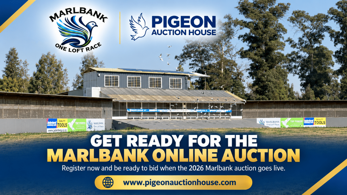Marlbank One Loft Race 2026 online auction banner featuring the Marlbank loft and Pigeon Auction House registration details.