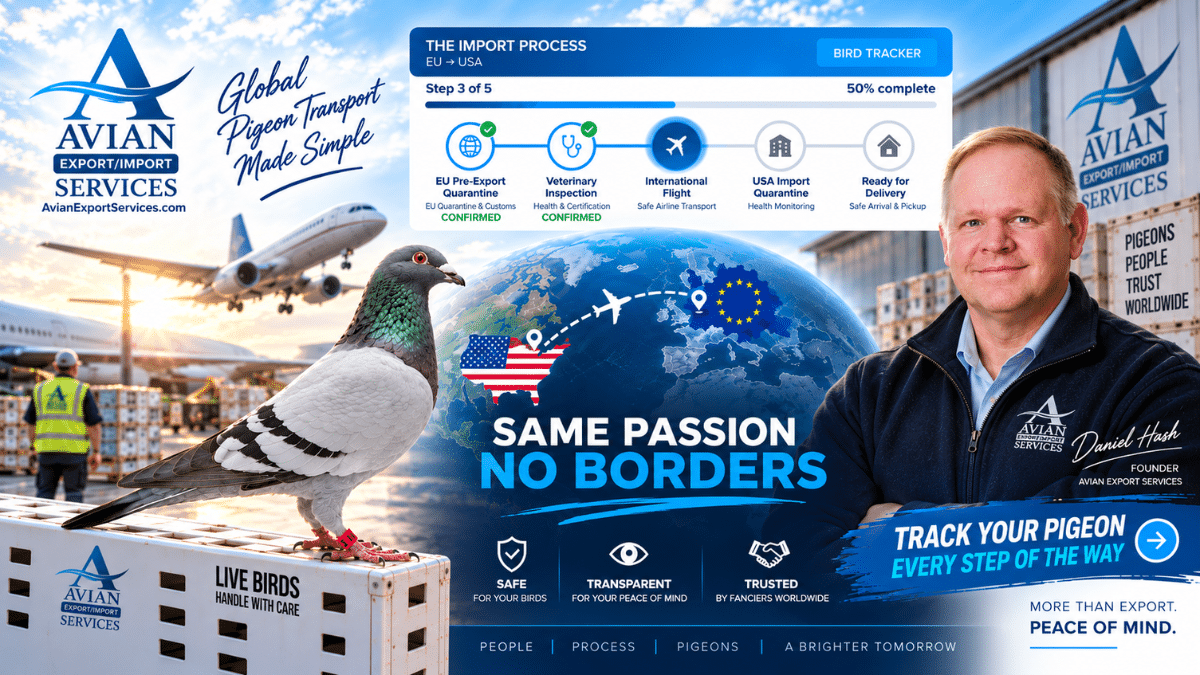 Avian Export Services Bird Tracker showing a racing pigeon’s import journey from EU quarantine and veterinary inspection to international flight, USA quarantine and final delivery, featuring Daniel Hash.