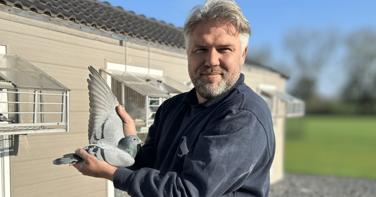 Team van Oss proudly holding one of his top racing pigeons in front of the loft in 's-Hertogenbosch.