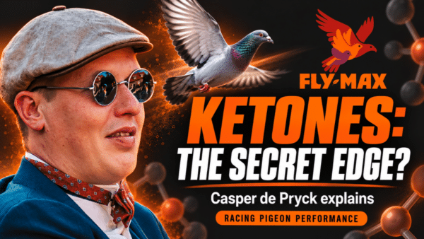 Casper de Pryck beside a racing pigeon and the Fly Max logo, with the headline “Ketones: The Secret Edge?” promoting his expert explanation of ketones.