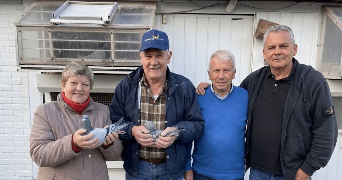 Luc Vervoort holding a blue pigeon alongside Markus Bauer and Rene Geukens in front of the loft